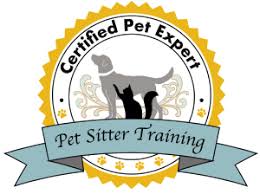 happy hpunds website pic dog walker training