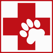happy hpunds website pic first aid 2